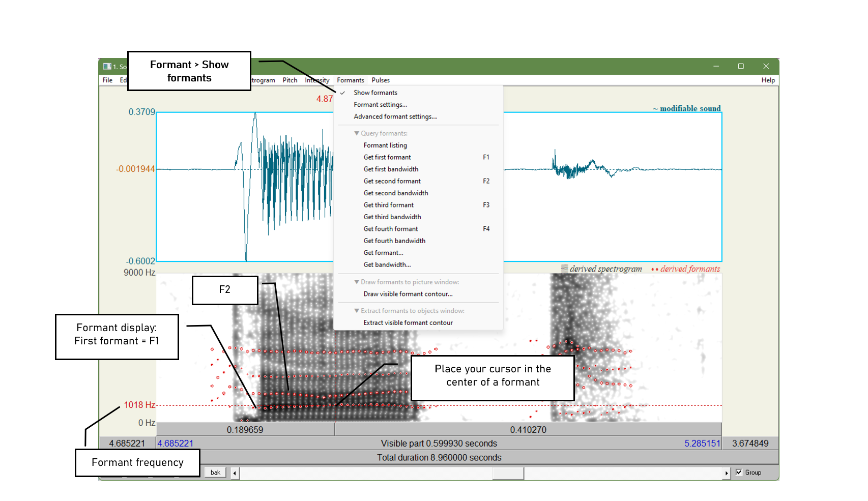 Figure 3.3: Formants