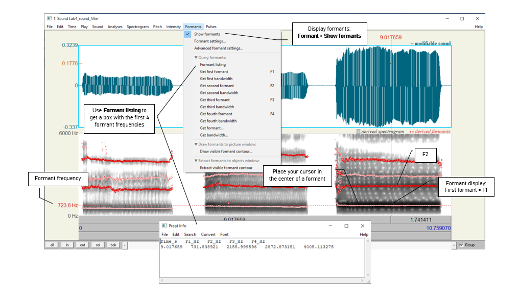 Figure 4.4: Measuring formants