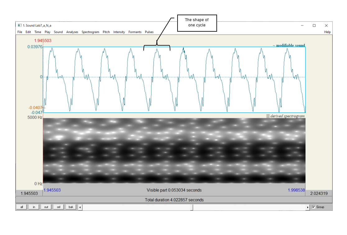 Figure 8.1: Nasal waveform